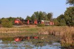 E251 comes north through the wetlands